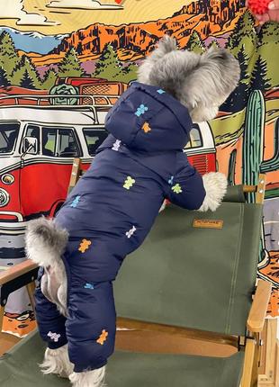 Зимовий комбінезон для собак, тепла куртка для собак із ведмедиків.3 фото