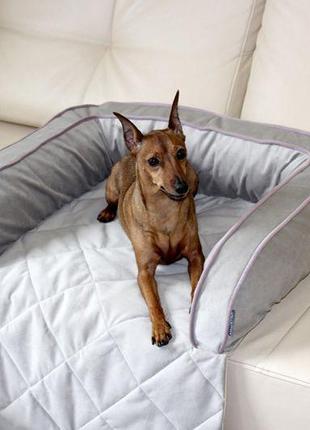 Лежак для собак та котів на диван sofa bed silver велюр s - 60х90х15см