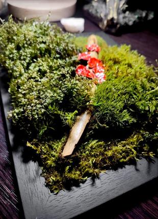 Лісове панно, картина з стабілізованого моху, декор з грибами, вічнозелений мох в рамці9 фото