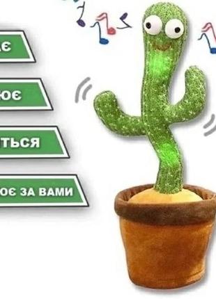 Іграшка 🌵