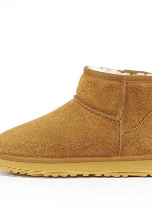 Угги ugg