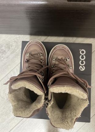 Ecco 29р ботинки сапоги зимние4 фото
