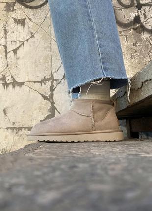 Угги ugg classic ultra mini light grey5 фото