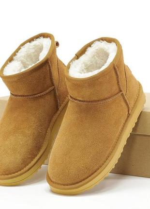 Ugg6 фото