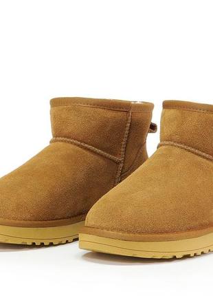 Ugg3 фото