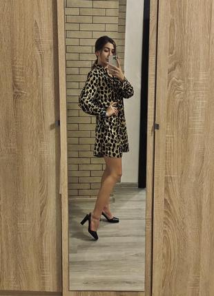 Сукня zara, коротке плаття