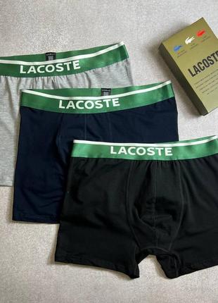 Чоловічий набір трусів lacoste