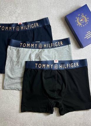 Чоловічий набір трусів tommy hilfiger