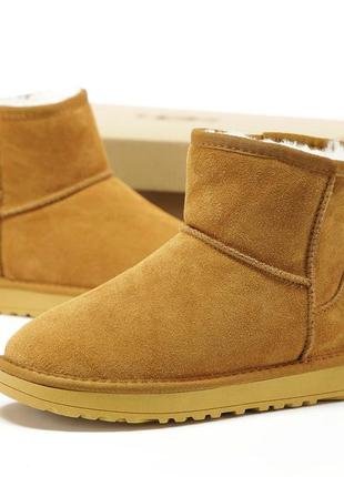 Ugg8 фото