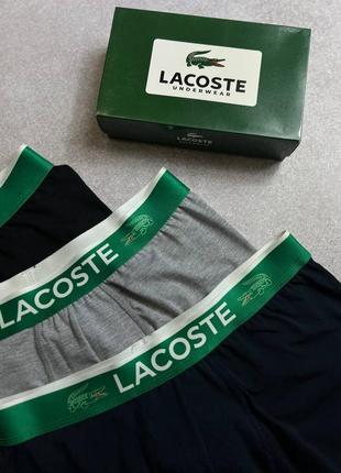 Чоловічий набір трусів lacoste2 фото