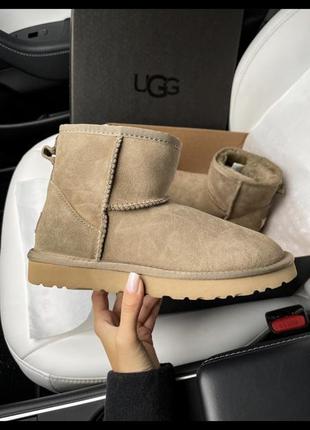 Ugg mini khaki