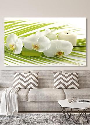 Картина холст в гостиную / спальню орхідея   mlp_942 фото