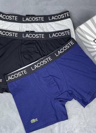 Мужские трусы боксеры lacoste2 фото