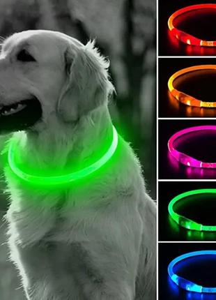 Светодиодный силиконовый ошейник для собак, светящийся универсальный ошейник с usb-зарядкой1 фото