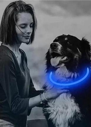 Светодиодный силиконовый ошейник для собак, светящийся универсальный ошейник с usb-зарядкой10 фото