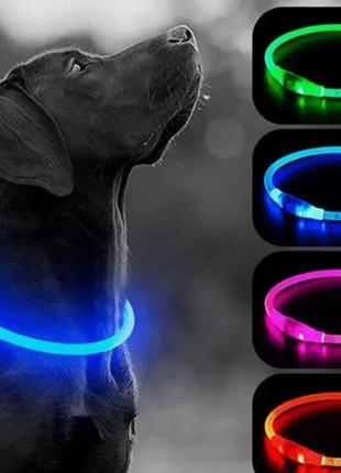 Светодиодный силиконовый ошейник для собак, светящийся универсальный ошейник с usb-зарядкой2 фото