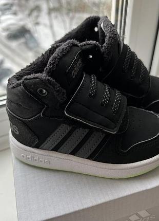 Утепленні демісезонні кросівки adidas