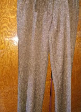 Штани демісезонні
