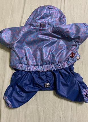 Дощовик одежда для собак ветровка дождевик1 фото