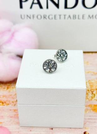 Серебряные серьги «семейное дерево»