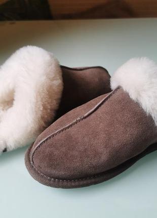 Жіночі тапочки ugg5 фото