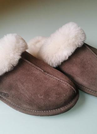 Женские тапочки ugg6 фото