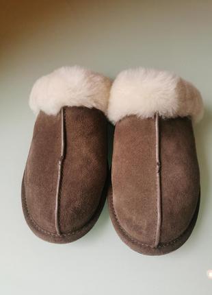 Жіночі тапочки ugg2 фото