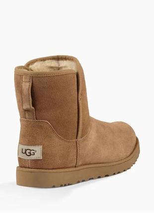 Ботинки зимние ugg cory 1013437 leather оригинал original7 фото