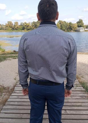 Классическая мужская рубашка paolo bertolucci4 фото
