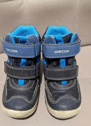 Ботинки geox 24 разм.1 фото