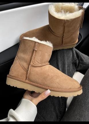 Ugg mini chestnut zip