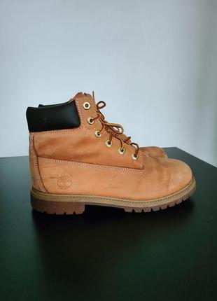 Черевики timberland