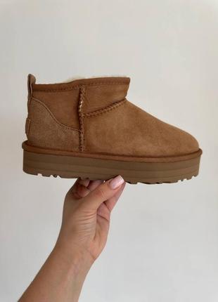 Замшевые натуральные угги ультра мини, ugg ultra mini platform camel, овчина