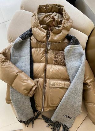 Преміум брендова куртка пуховик в стилі loewe