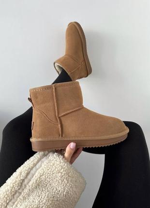 Женские угги ugg mini ginger suede