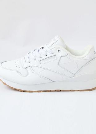 5099 reebok Low classic термо кроссовки женские кроссовки рыбок
