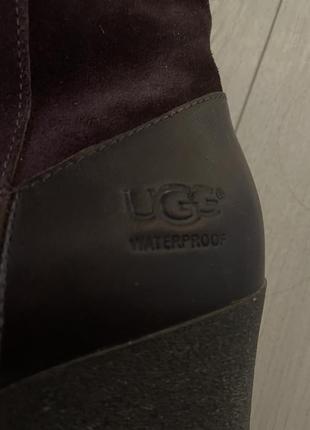 Сапоги сапоги ugg оригинал3 фото