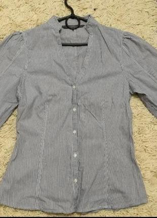Блузка zara рукави-ліхтарики фанарики блуза сорочка1 фото