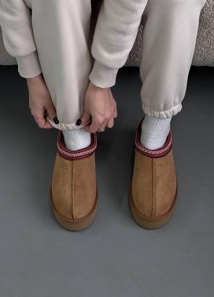 В наявності ugg tazz slippers chesnut угги уггі4 фото