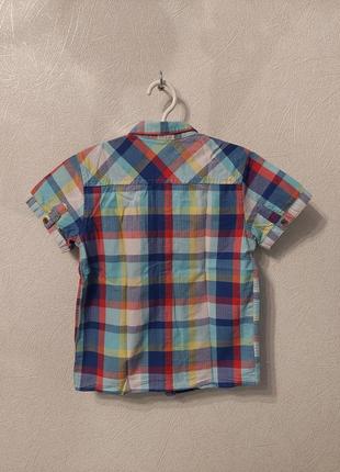 Рубашка короткий рукав, шведка, тениска в клетку, клеточку8 фото