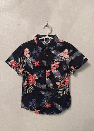 Рубашка, тениска, шведка  в  цветок.3 фото