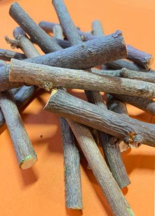 Веточки яблони и не только для грызунов и попугаев