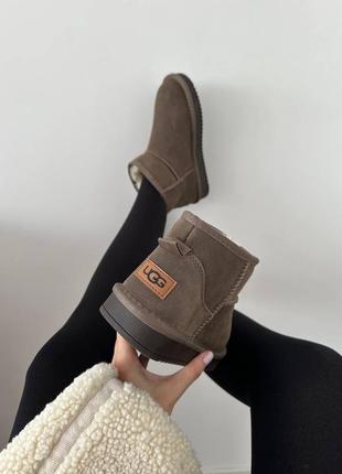 Жіночі уггі ugg ultra mini coffee suede3 фото