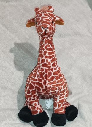 Жираф жирафа