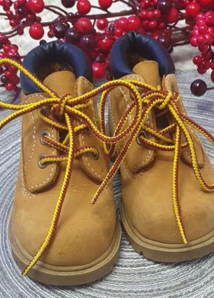 Черевики timberland original3 фото