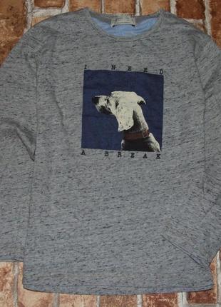 Реглан лонгслив мальчику 7 лет zara