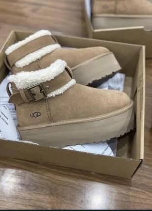 Трендовые ugg/угги с ремешком1 фото