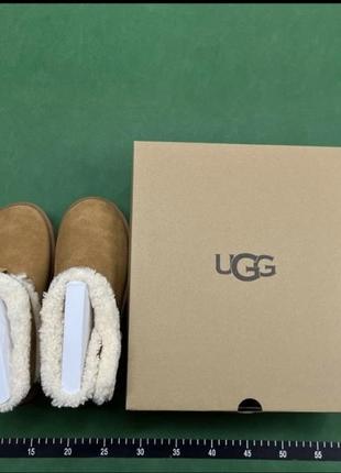 Трендовые ugg/угги с ремешком4 фото