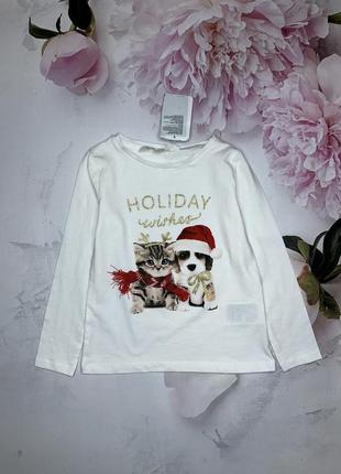 Лонгслив реглан