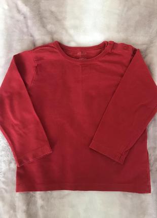 Hema реглан на малыша 5